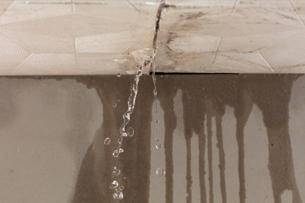 Professional Sewage Cleanup technician working in Fenwick, MI